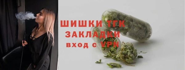 стаф Бородино
