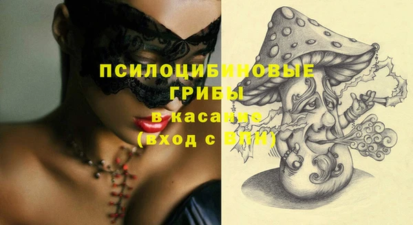 стаф Бородино