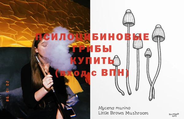 гидропоника Верхний Тагил