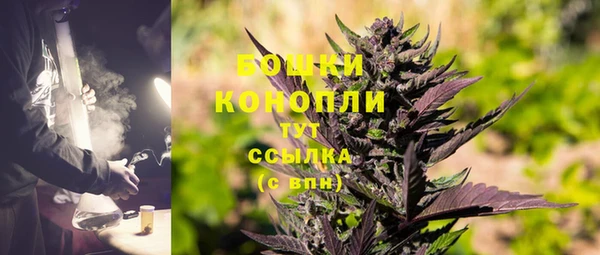 стаф Бородино