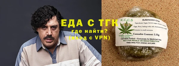 стаф Бородино