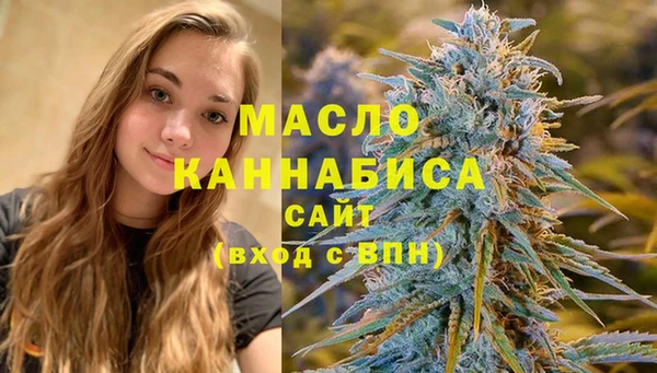 стаф Бородино