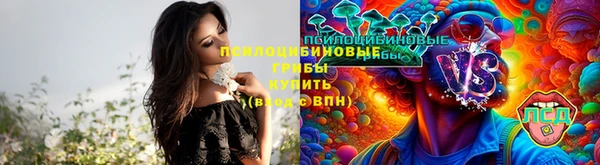 стаф Бородино